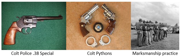 Colt Police .38 Special, Colt Pythons, Marksmanship practice, Palmetto