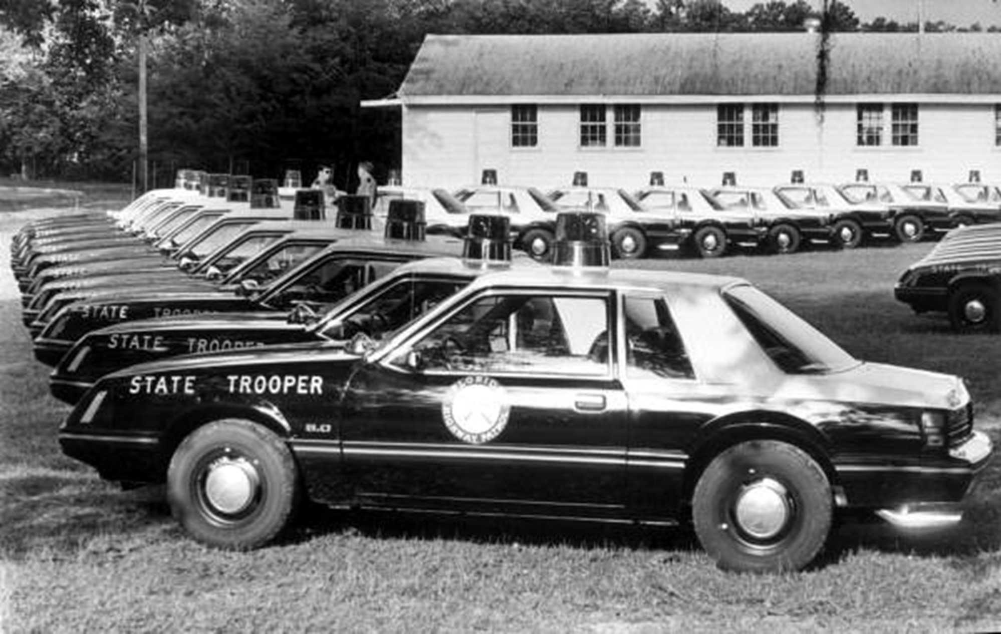 Row of Ford Mustangs patrol cars with blue light