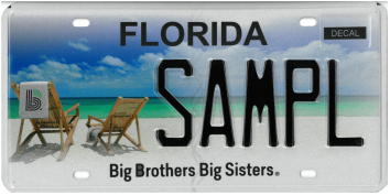 Big Brothers Big Sisters sample plate