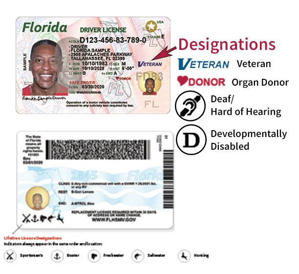 Florida Driver's License Designations graphic