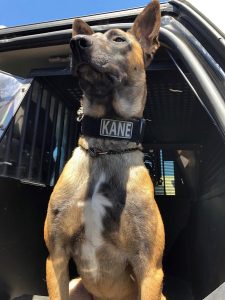 K-9 Kane