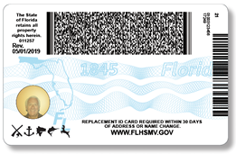 New Florida driver's licenses -- and new security features -- coming in August