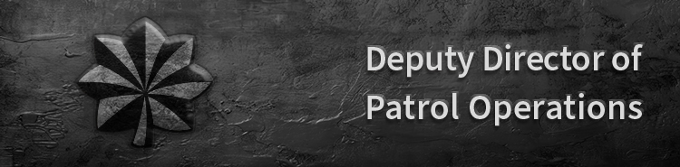 Deputy Director of Patrol Operations