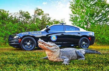 FHP's entry into contest