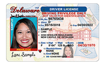example of Delaware license