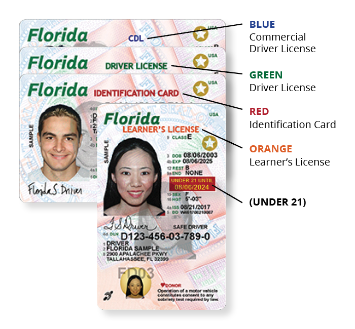 new driver license designated header colors