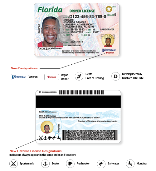 new driver license designations