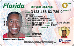 front new driver license