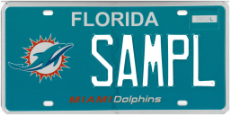 miami dolphins plate