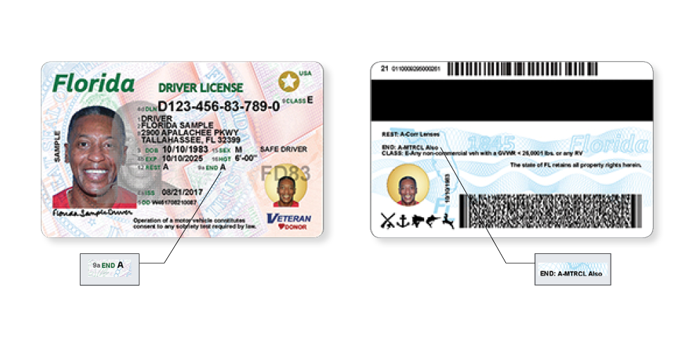 florida drivers license renewal fee increase