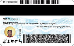 Florida's NEW Driver License and ID Card - Florida Department of Highway Safety and Motor Vehicles