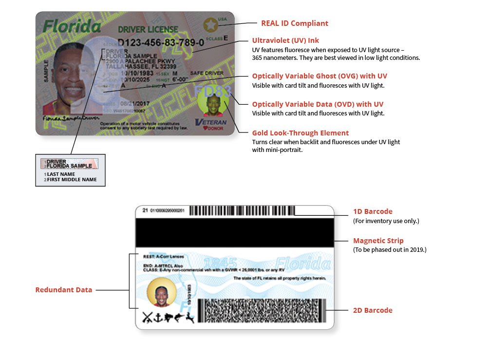 new driver license fraud protection