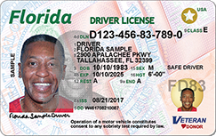 Here's what your new Florida driver license looks like