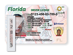 ORLANDO FLORIDA License NEW Plastic