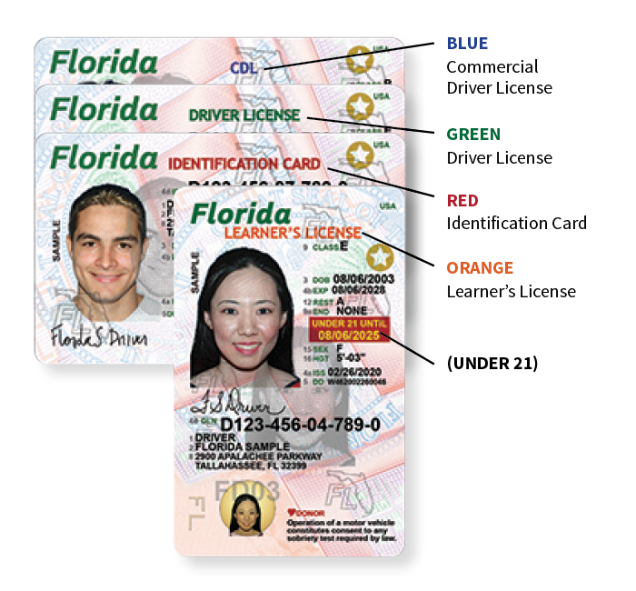 Florida S New Driver License And Id Card Florida Department Of