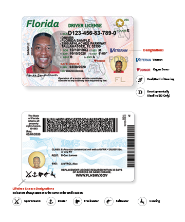 Florida Drivers License Check Renewal