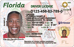 Florida to roll out digital drivers licenses in 2021