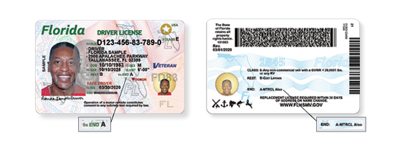 Florida driver's licenses getting new look