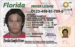 Here's what your new Florida driver license looks like