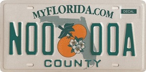 30+ What Do You Do With An Old License Plate In Florida