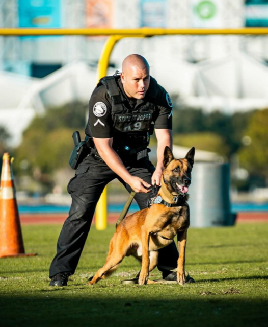K-9 Rico stands at the ready