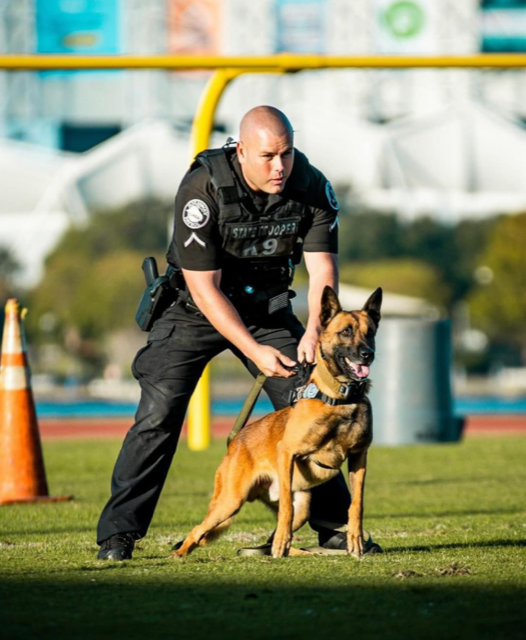 K-9 Rico se encuentra listo