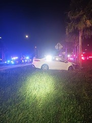 Wrong way driver vehicle crashed into a palm tree
