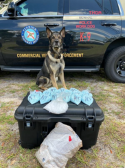 K9 in front of drugs confiscated