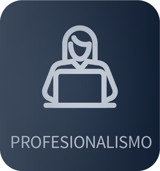 Profesionalismo