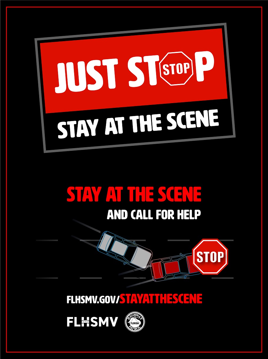 Just stop. Stay at the scene of an accident.