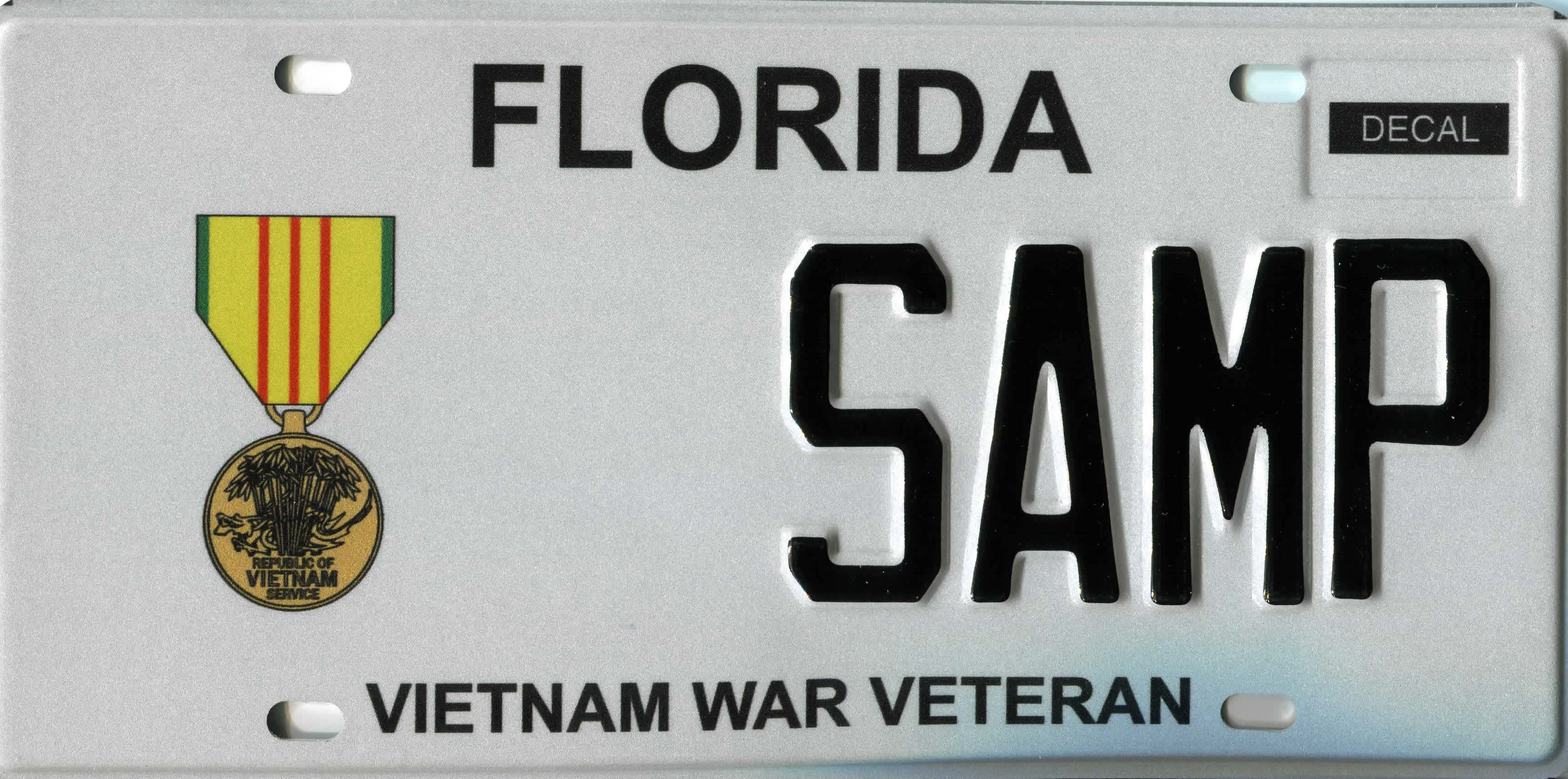 vietnam war vet